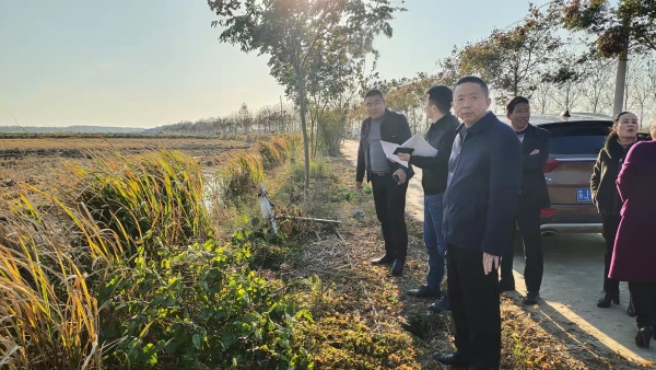 盐城市建湖县审计局对上冈镇非粮化整治成效予以关注